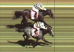 Gazi'nin galibi Matador Yaşar!