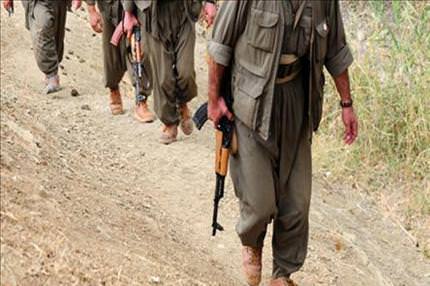 Öldürülen PKK'lılar nereli?