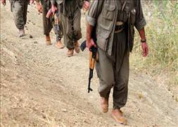 Öldürülen PKK'lılar nereli?