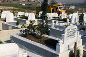 Kabristan tapulu çıktı