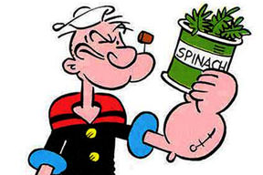 Temel Reis haklı çıktı