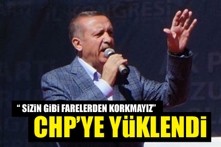 Sizin gibi fareden korkmayız