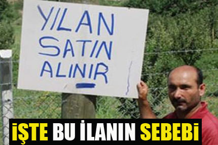 Neden yılan satın alıyor?