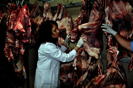 Et fiyatı düşecek