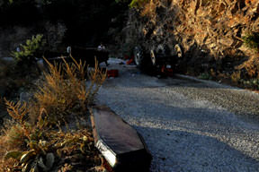 Piknikte can pazarı