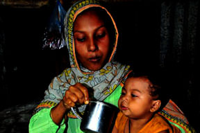 Ağaç kabuğu ile hayattalar