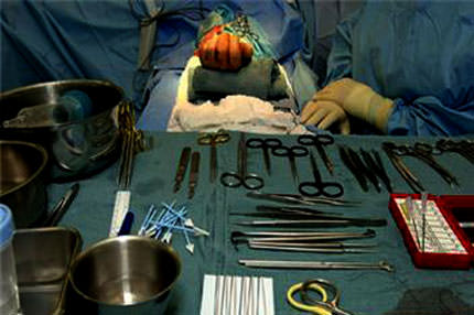 Arizona da bizim yasağa uyuyor