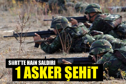 Siirt’te hain saldırı!