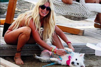 Son moda: Bikinili köpek!