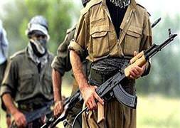 Van'da terörist saldırı