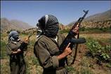 Vekil kaçıran PKK'lıların kimlikleri tespit edildi