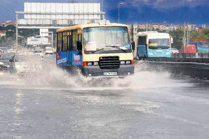 Islak pazar