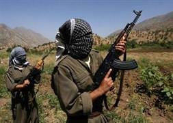 PKK: Aygün'ü biz kaçırdık