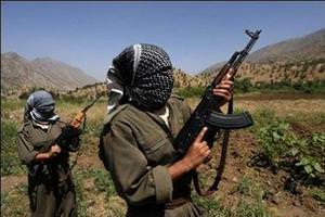Vekil kaçıran PKK'lıların kimlikleri tespit edildi
