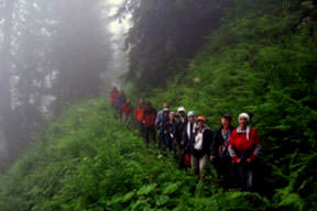 Dağcılar kurtardı