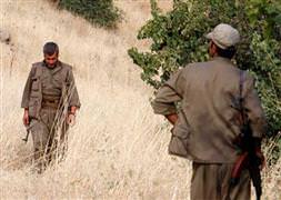 Şemdinli çemberinde 51 PKK'lı öldürüldü