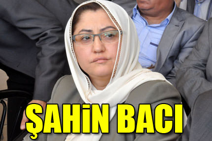 Şahin Ana