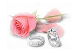 Diyanet İşleri Başkanlığı'ndan aile atağı