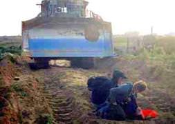 Rachel Corrie davasında karar