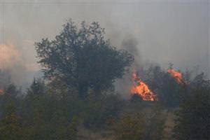 Beypazarı'nda orman yangını