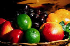 Tüberküloza D vitamini