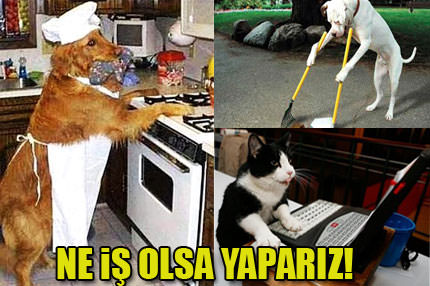 Ne iş olsa yaparız