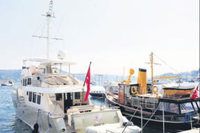 Çiller'in yeni yavrusu