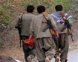 PKK'lılar özel güvelik elemanlarına saldırdı