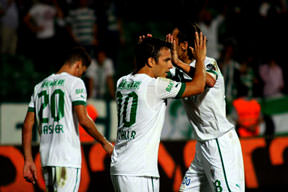 Timsah'ın affı yok!