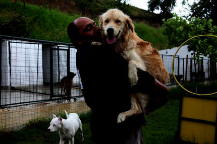 Köpeklere beş yıldızlı eğlence