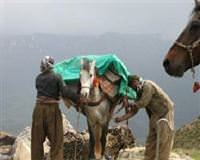 Silahlar Türkiye'ye nasıl giriyor?