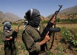 İşte PKK'ya destek verenlerin listesi