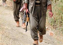 Köylüden PKK'ya tokat gibi cevap