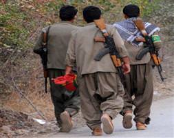 PKK 2 öğretmeni kaçırdı