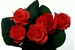 Gül almak için çiçekçiyi bastı