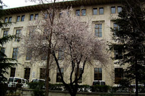 Kadınların sesi İstanbul'da