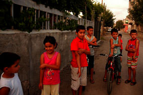 Tatarcık sineği istila etti