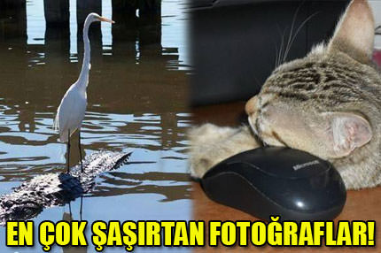 Sanal alemin en komikleri