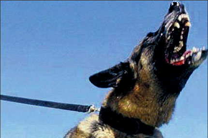 Ateşte can hav’li