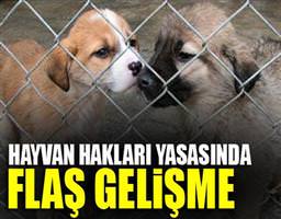Hayvan Hakları Yasası’nda flaş gelişme
