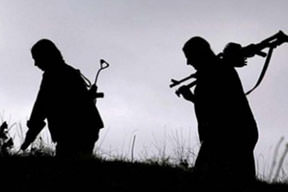 Şemdinli'de terör örgütüne darbe