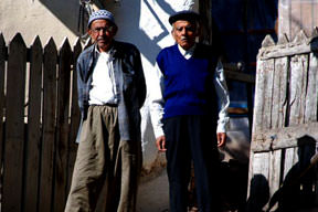 Yaşlı kurtlar