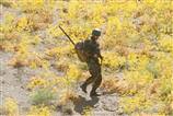 Tunceli'de PKK'ya bir darbe daha