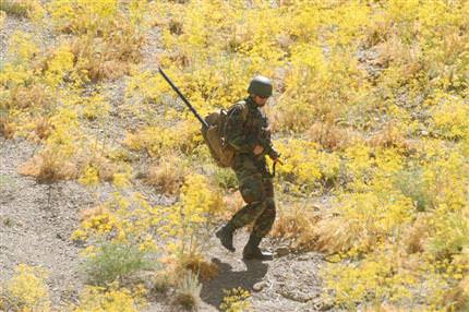 Tunceli’de PKK’ya bir darbe daha