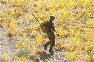 Tunceli’de PKK’ya bir darbe daha