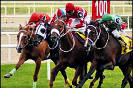 Atçılıkta büyük gün!