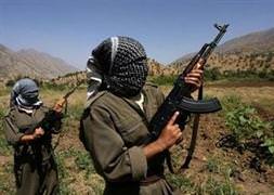 Uludere'de hainlerden vahşi eylem