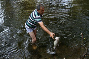 Balıklar için 96 bin TL ceza