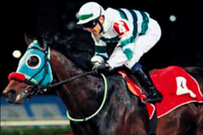 İğdis krizine ithal cözüm