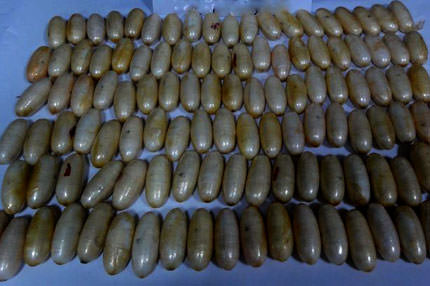 Kokain dolu prezervatif